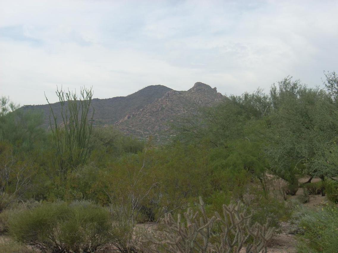 7777 E Sunflower Ct. #5, Scottsdale, AZ 85266
