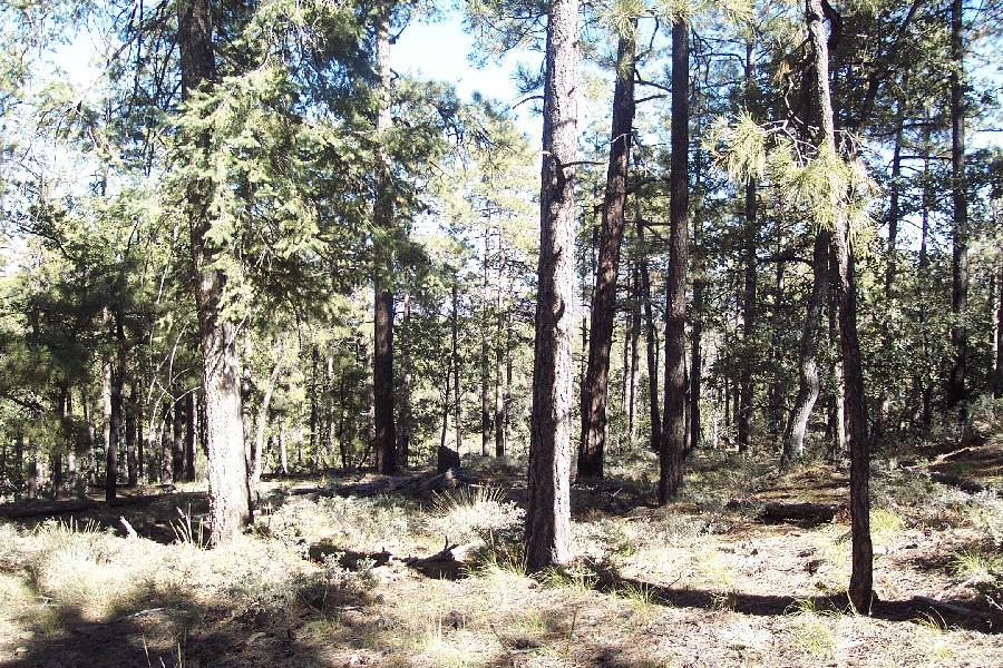 S Big Bug Mesa Rd., Prescott, AZ 86303