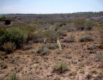 E Mesa Dr., Cornville, AZ 86325