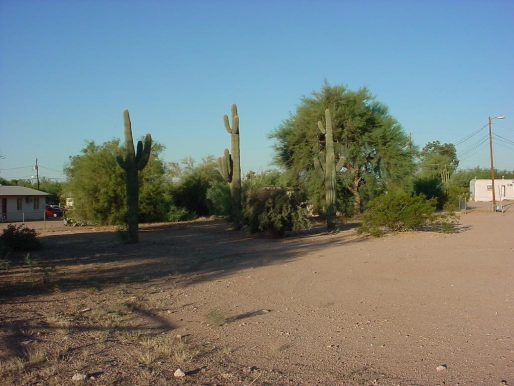 552 N Ironwood Dr. #21, Apache Junction, AZ 85120