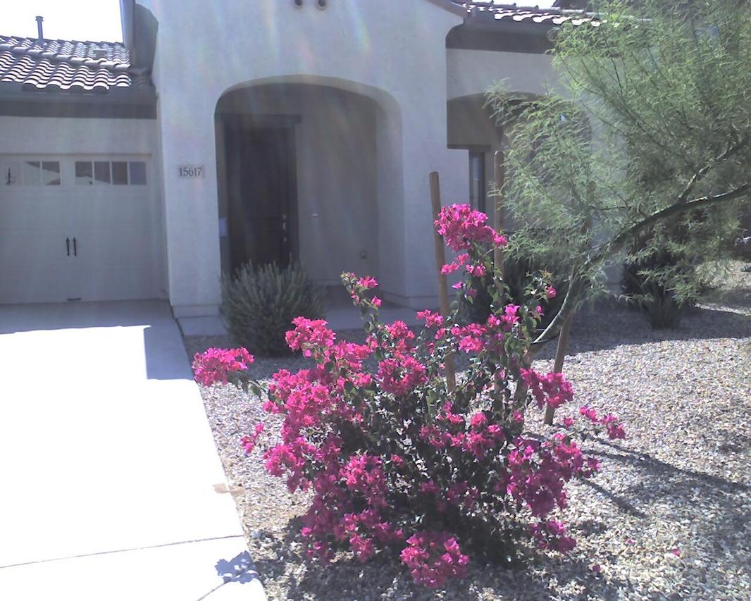 15617 W Meadowbrook Ave., Goodyear, AZ 85395