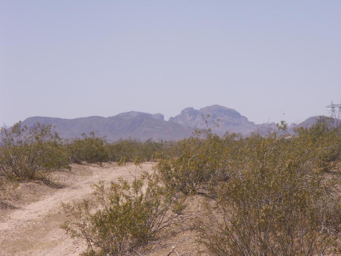 355B W Maricopa Ave. #24, Buckeye, AZ 85326