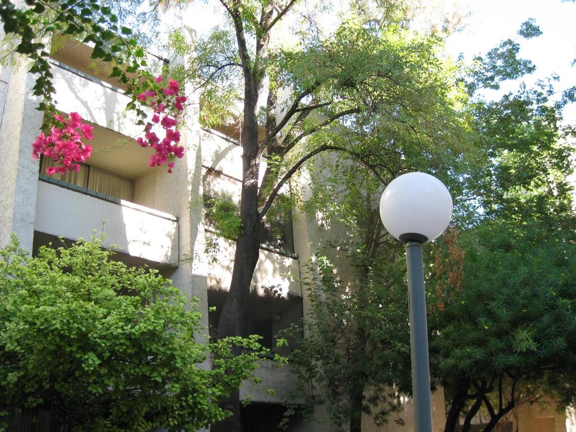 7625 E Camelback Rd. #116, Scottsdale, AZ 85251