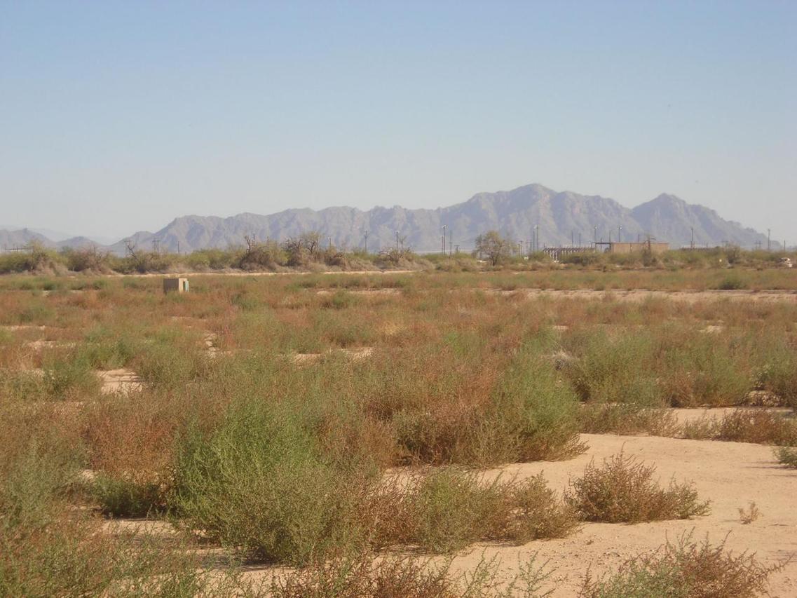 265 S Bethany Pl. #1, Casa Grande, AZ 85294