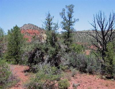 Cross Creek Ranch, Sedona, AZ 86336