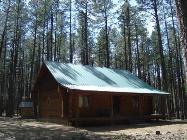 107 W Draw Loop, Christopher Creek, AZ 85541