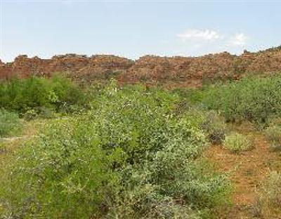 Red Rock Loop Rd., Sedona, AZ 86336