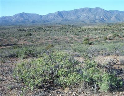 Goddard Rd., Cottonwood, AZ 86326