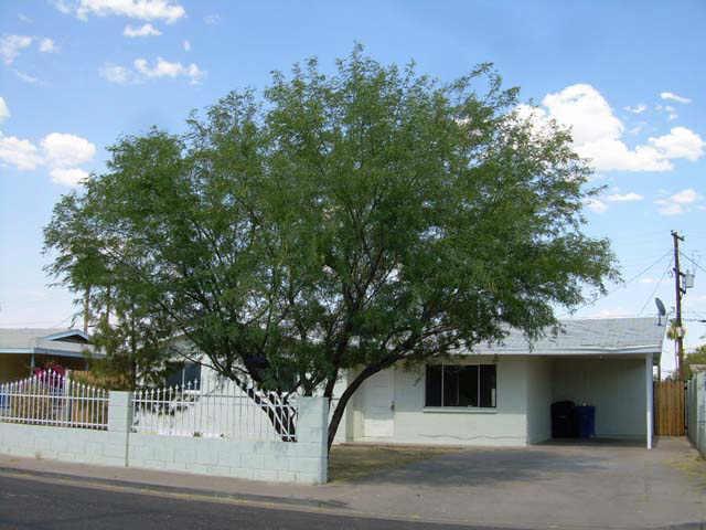 513 S Mulberry St., Mesa, AZ 85202