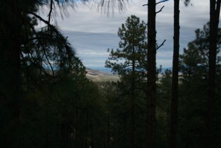 925 N Madizell Dr., Prescott, AZ 86305
