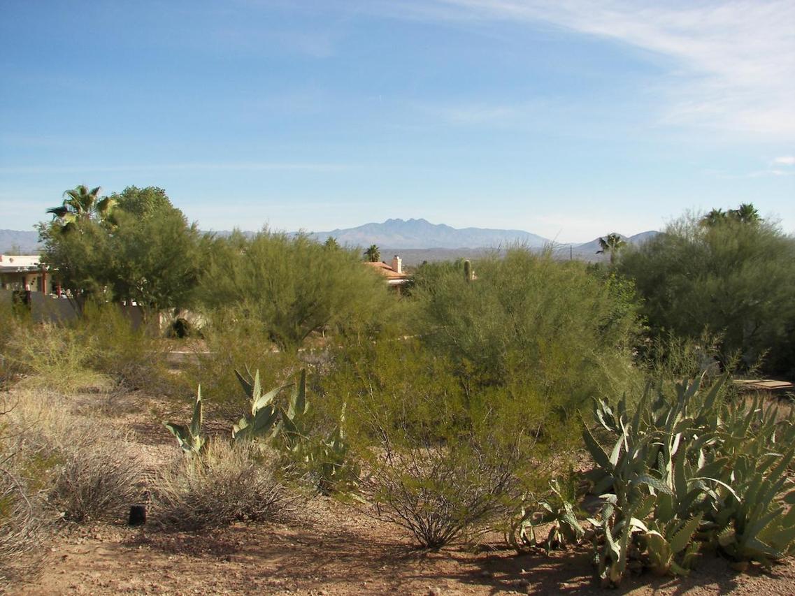 10444 N Nicklaus Dr. #15, Fountain Hills, AZ 85268