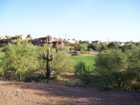 9957 E Hidden Treasure Ct., Gold Canyon, AZ 85218