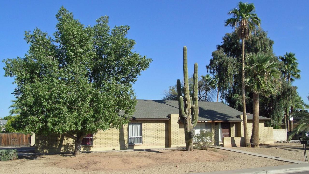 12247 N 59th St., Scottsdale, AZ 85254