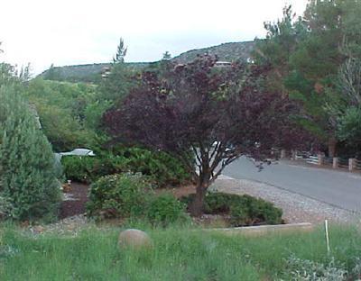 205 Lake Dr., Sedona, AZ 86336