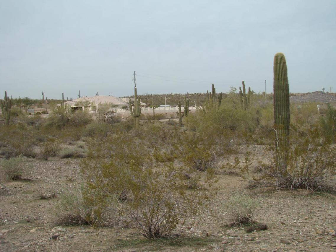 25800 N 113th Ave., Peoria, AZ 85382