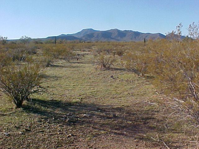 000 W Plata Rd. #38, Maricopa, AZ 85239