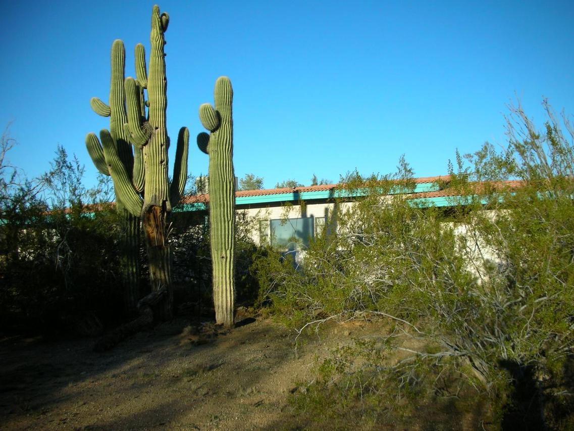 6802 E Paradise Dr., Scottsdale, AZ 85254