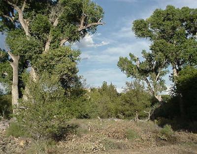 2604 Self Ln., Cottonwood, AZ 86326