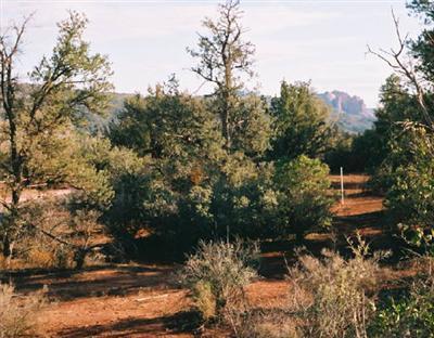 61 Sandstone Dr., Sedona, AZ 86336