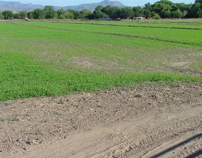 Silver Rd., Camp Verde, AZ 86322