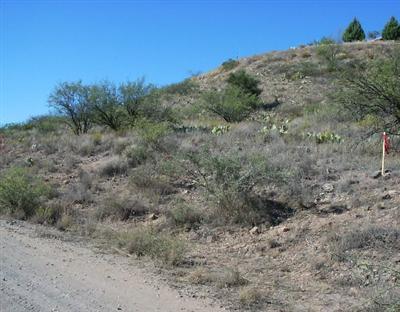 5440 N Bentley Dr., Rimrock, AZ 86335