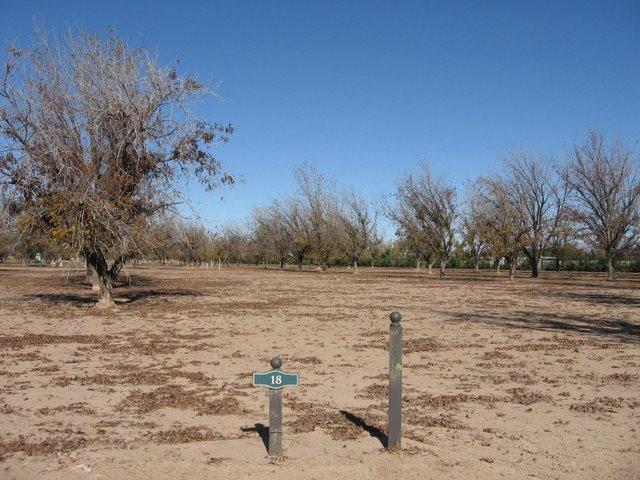 23911 S 205 Ct. #18, Queen Creek, AZ 85242