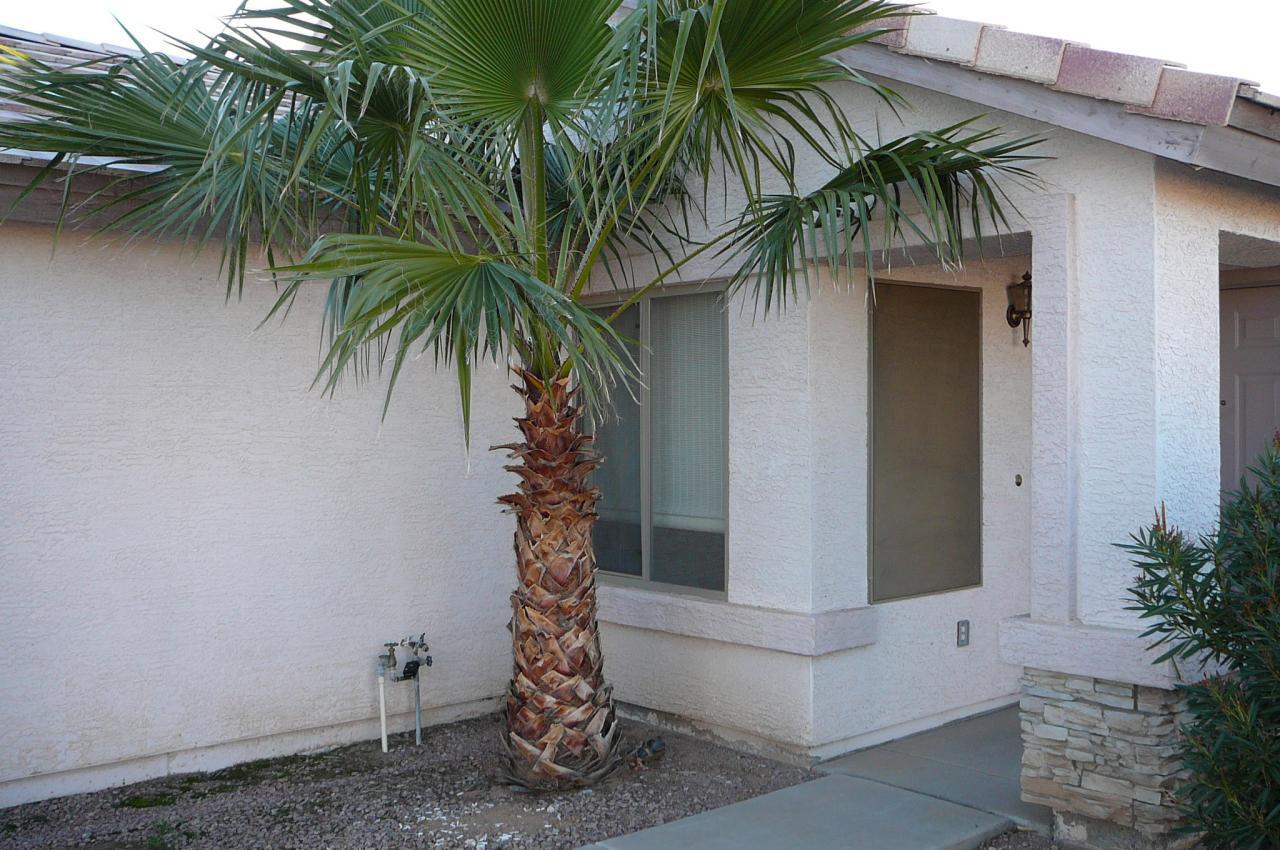 9911 E Delta Cir., Mesa, AZ 85208