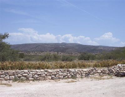 445 N Forest View #1, Cornville, AZ 86325