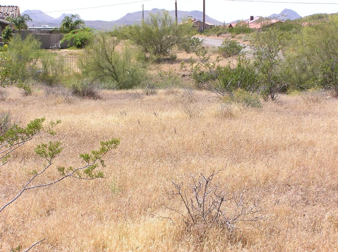 25900 N 1st Dr., Phoenix, AZ 85085