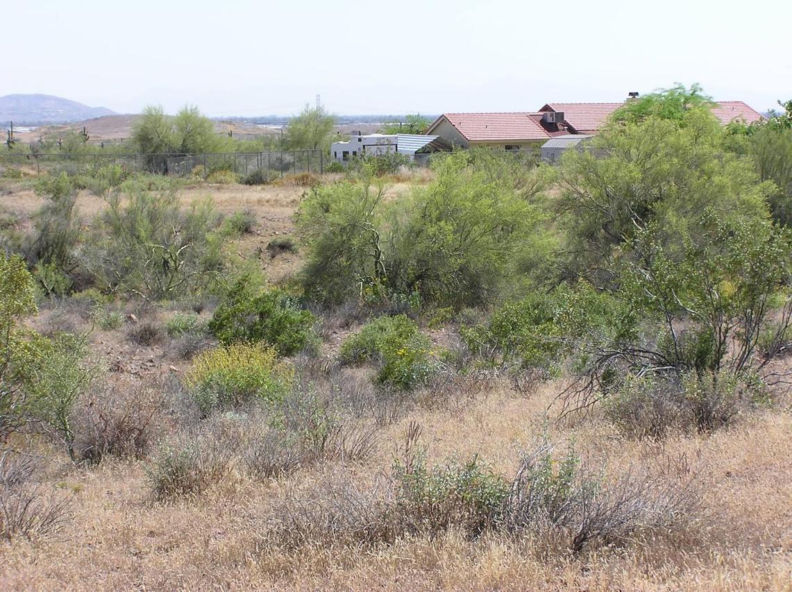 103 E Quartz Rock Rd., Phoenix, AZ 85085