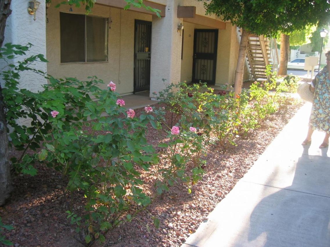 8841 N 8th St. #105, Phoenix, AZ 85020