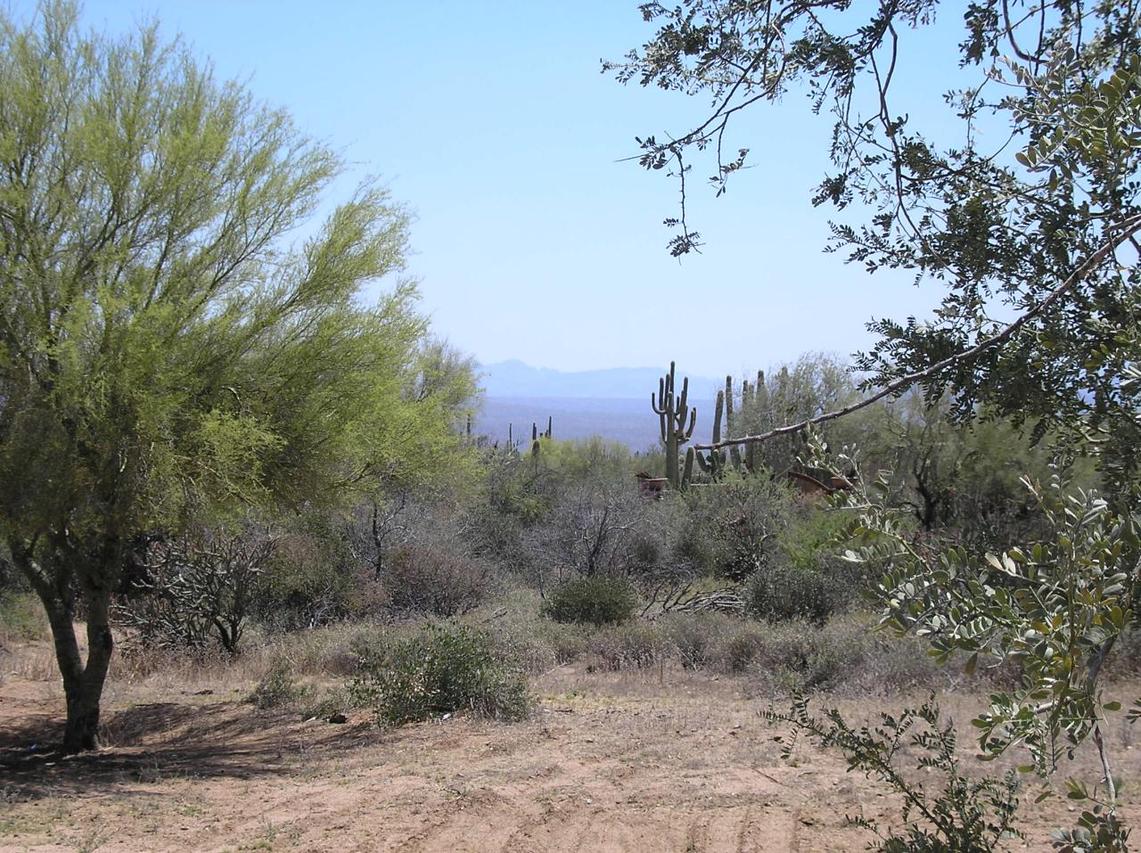14500 National Forest #2, Scottsdale, AZ 85262