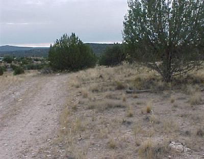 4150 Primrose Ct., Rimrock, AZ 86335