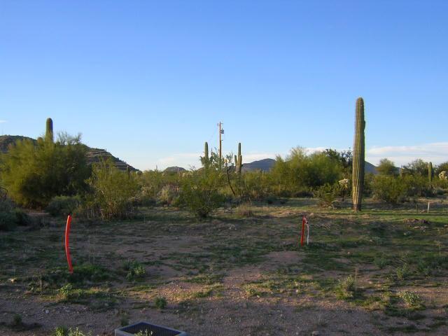 10220 E Brown Rd., Mesa, AZ 85207