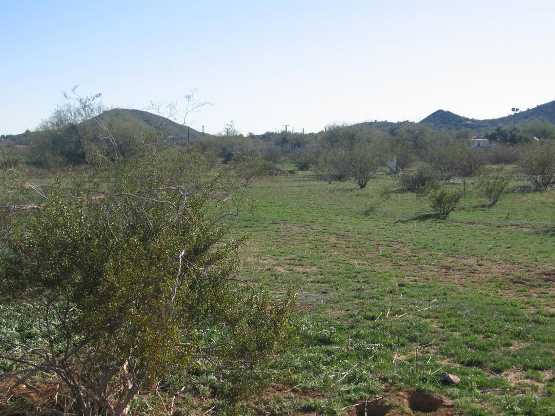 1X W Perdido Way #1, Phoenix, AZ 85086