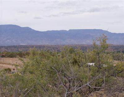 Ole Paint, Cornville, AZ 86322