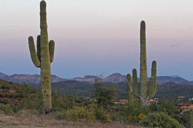 9364 E Skyline Tr. #9, Apache Junction, AZ 85218