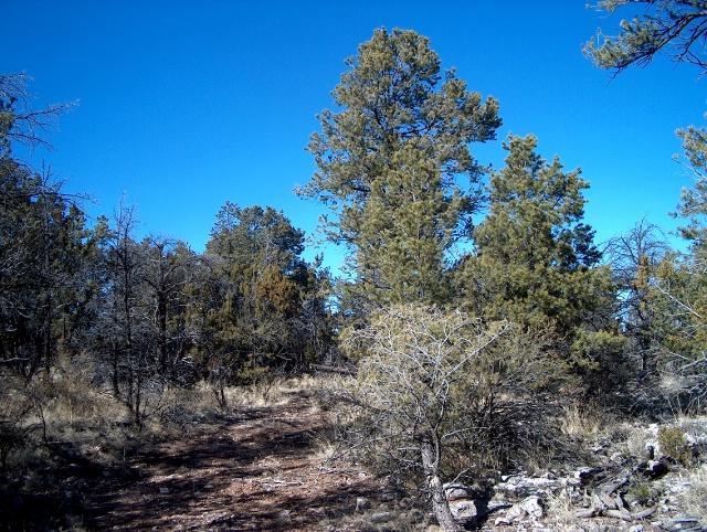 3155 N Trails End Rd. #376, Heber, AZ 85928