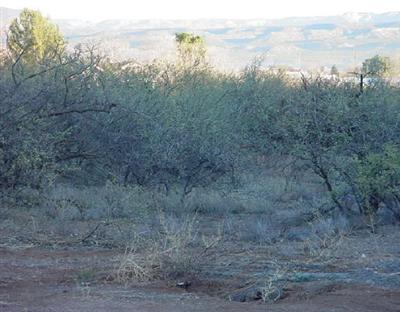 Mountain View, Cottonwood, AZ 86326