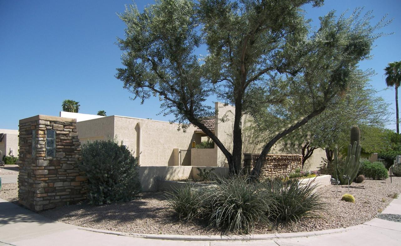 7807 E Buena Terra Way, Scottsdale, AZ 85250