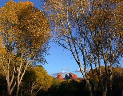 Red Rock Loop, Sedona, AZ 86336