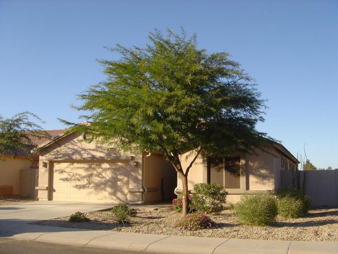 1420 E Leaf Rd., Queen Creek, AZ 85240