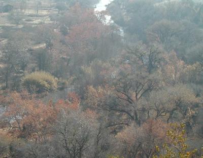 5 Merritt Ranch, Cornville, AZ 86325