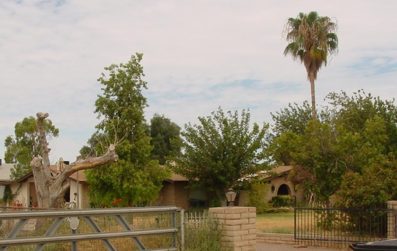3116 S Diamond Dr., Chandler, AZ 85286