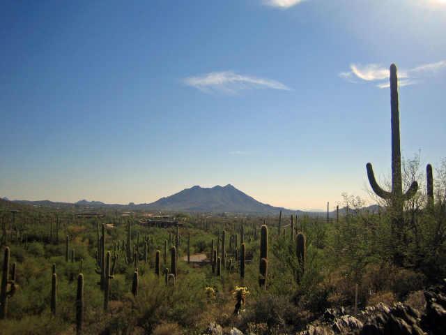 43000 N Sierra Vis Rd., Cave Creek, AZ 85331