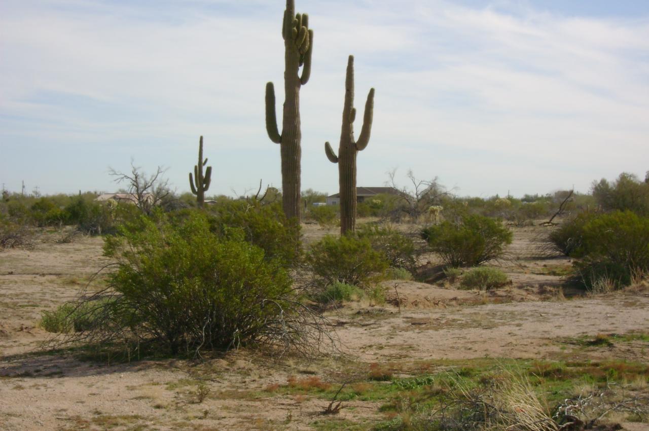 E Cactus Forest Rd. #05, Florence, AZ 85232