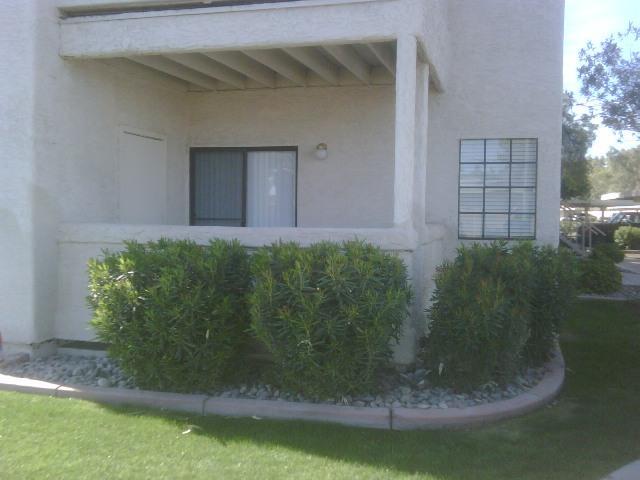 930 N Mesa Dr. #1098, Mesa, AZ 85201