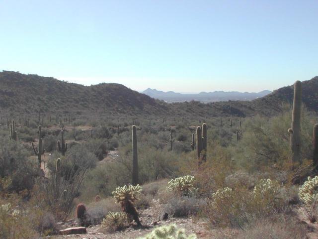 14000 E Hawknest St. #X, Rio Verde, AZ 85263