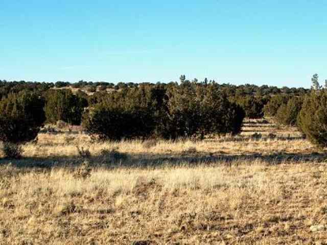 Sec.4 Chevelon Retreat, Heber, AZ 85928