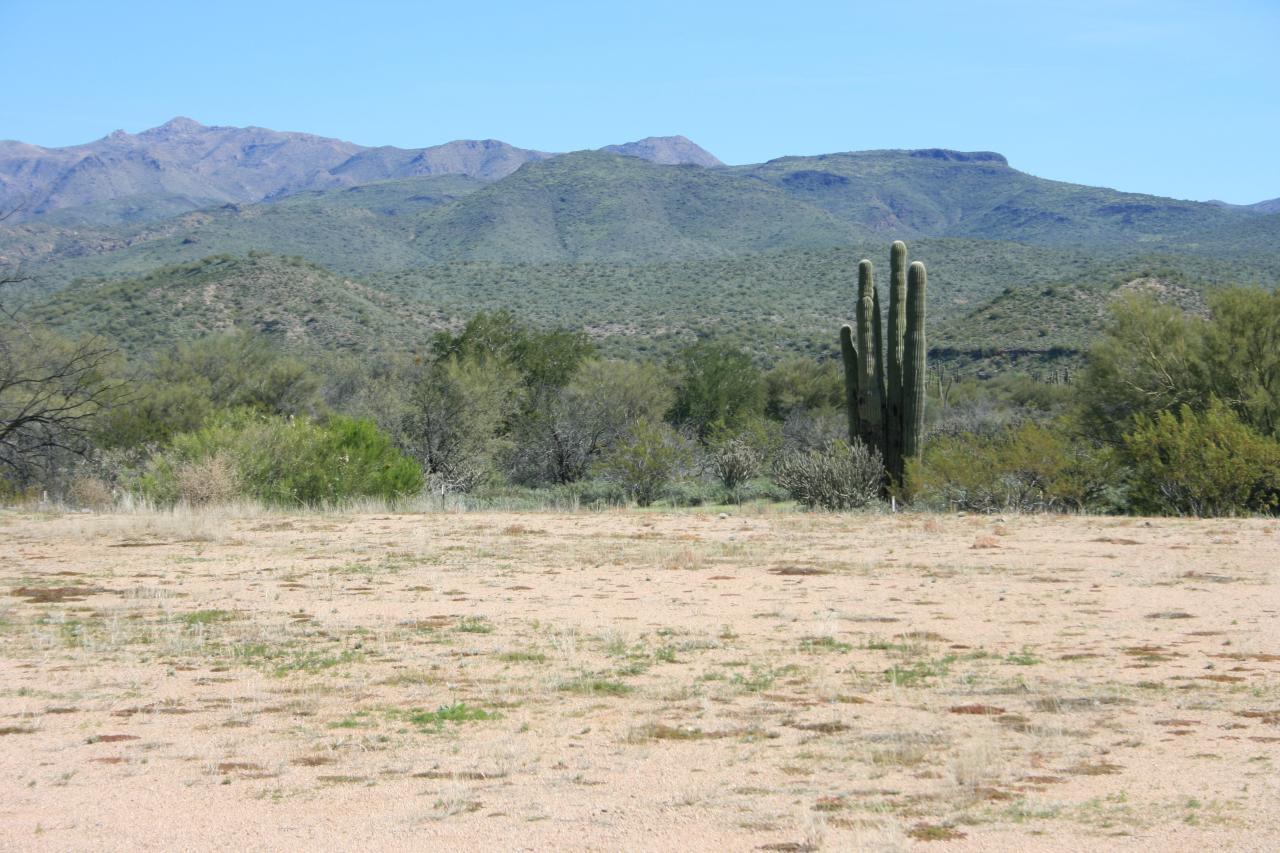 27015 N Sandstone Springs Rd. #499, Rio Verde, AZ 85263